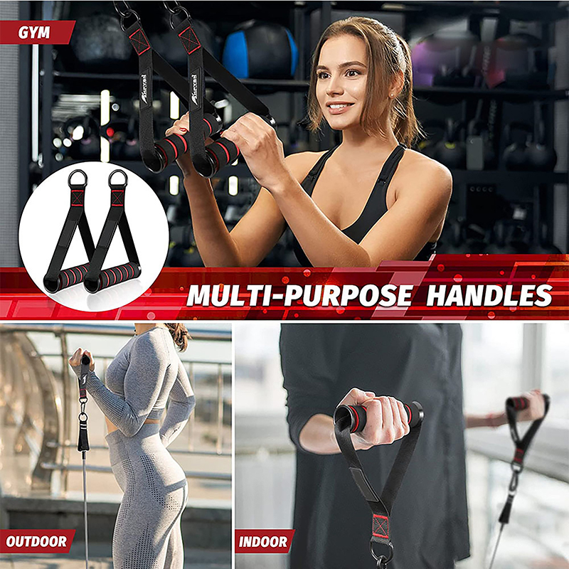 Heavy Duty D-Ring Metal Gym Ha - Pilates Yoga Resistance Ring reseña y precio